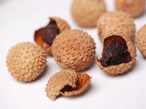 Dried Fruits Lychee（ドライフルーツ・ライチ）