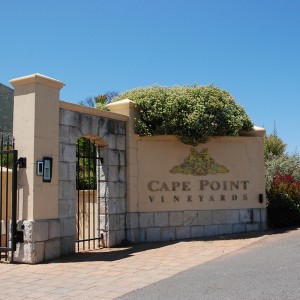 CAPE POINT VINEYARDS WINERY