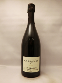 エール・プイヨン・エ・フィス・レ・シャテニィエ・エクストラ・ブリュット