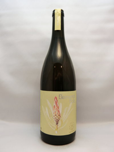 W.O. ・アッパー・ヘメル・エン・アーデ・ヴァレー・コズミック・フラワー・パロミノ