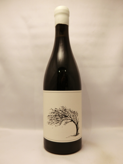 W.O. ・ケープ・ペニンシュラ・ザ・ガール・ネクスト・ドア