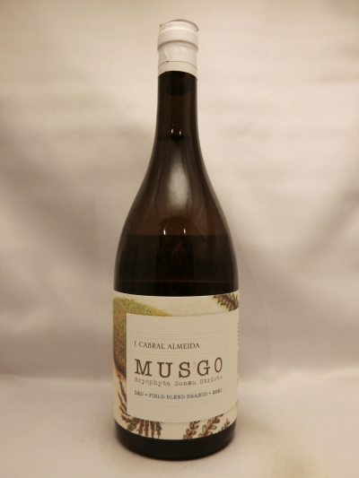 ダン・D.O.P.・ムスゴ・ブランコ・フィールド・ブレンド