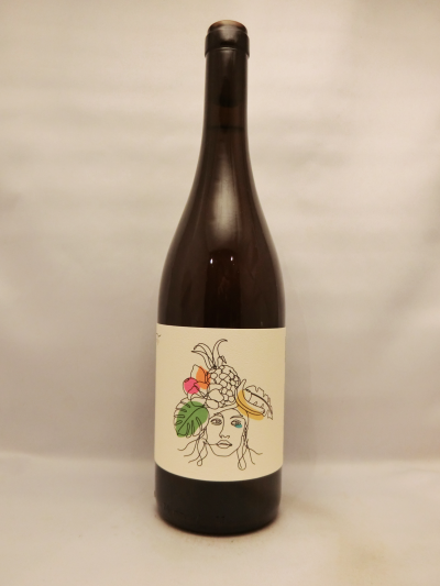 I.G.T.ヴェネト・アントロピカ