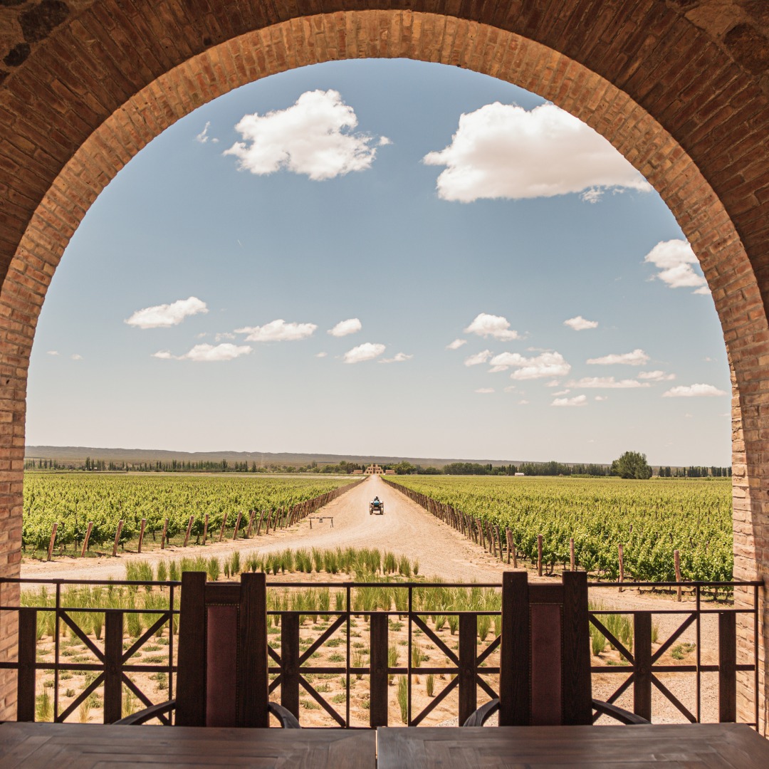 カテナ・サパータの写真2