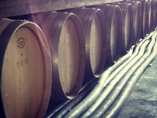 コレクターの写真3