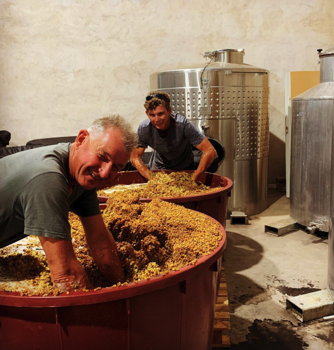 スモールフライ・ワインズの写真2