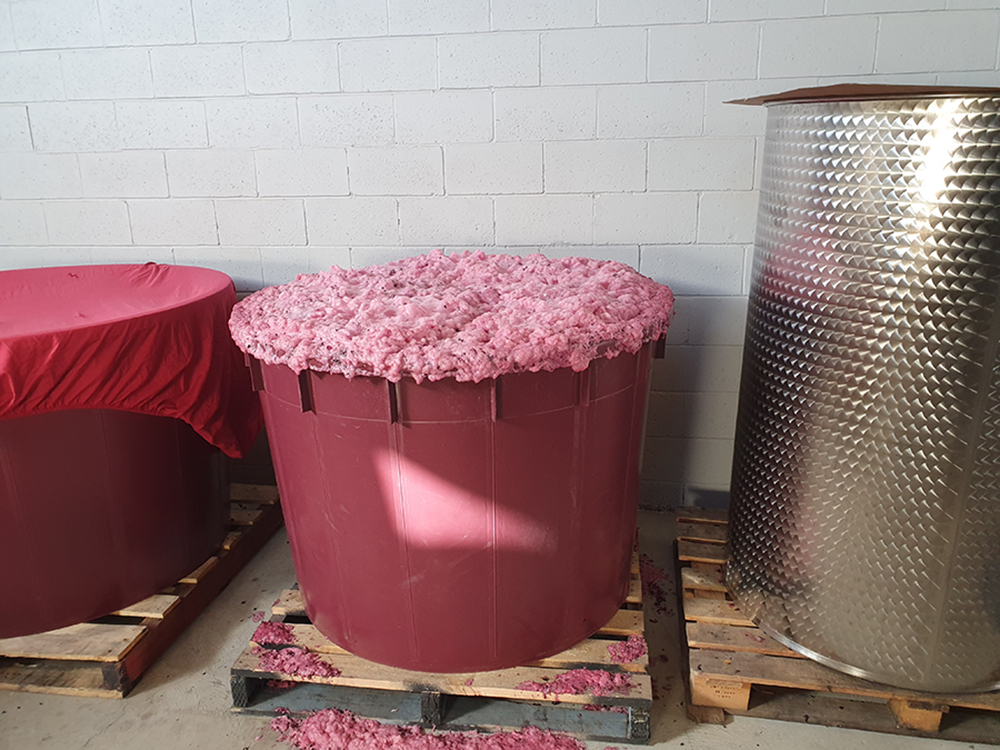 フューチャー・パーフェクト・ワインズの写真3