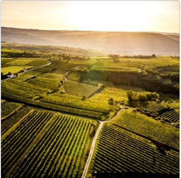 ヴェスリの写真1