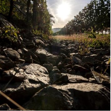 ヴェスリの写真3