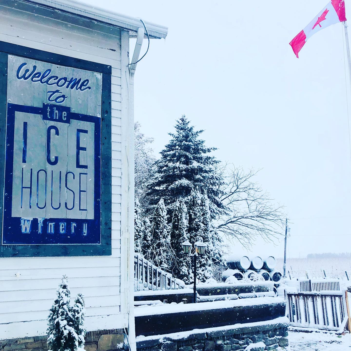 ザ・アイス・ハウス・ワイナリーの写真1