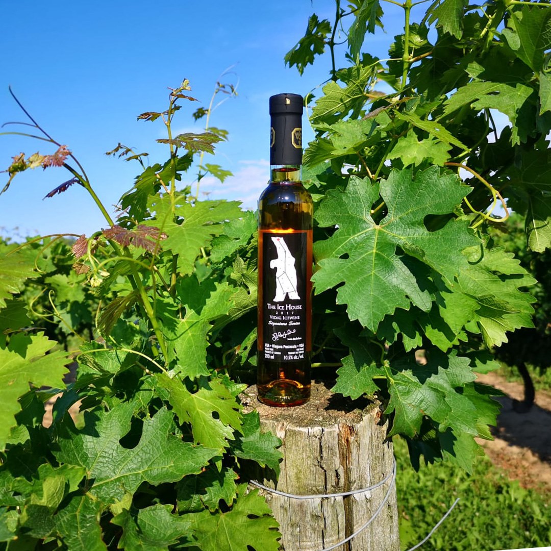 ザ・アイス・ハウス・ワイナリーの写真3