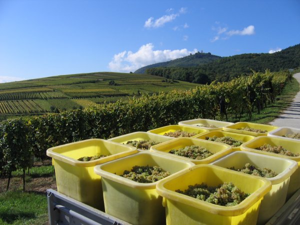 アンドレ・エルハートの写真3