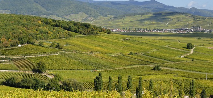 ドメーヌ・キューンの写真3