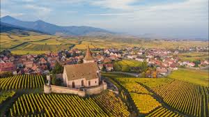 ドメーヌ・ミットナット・フレールの写真3