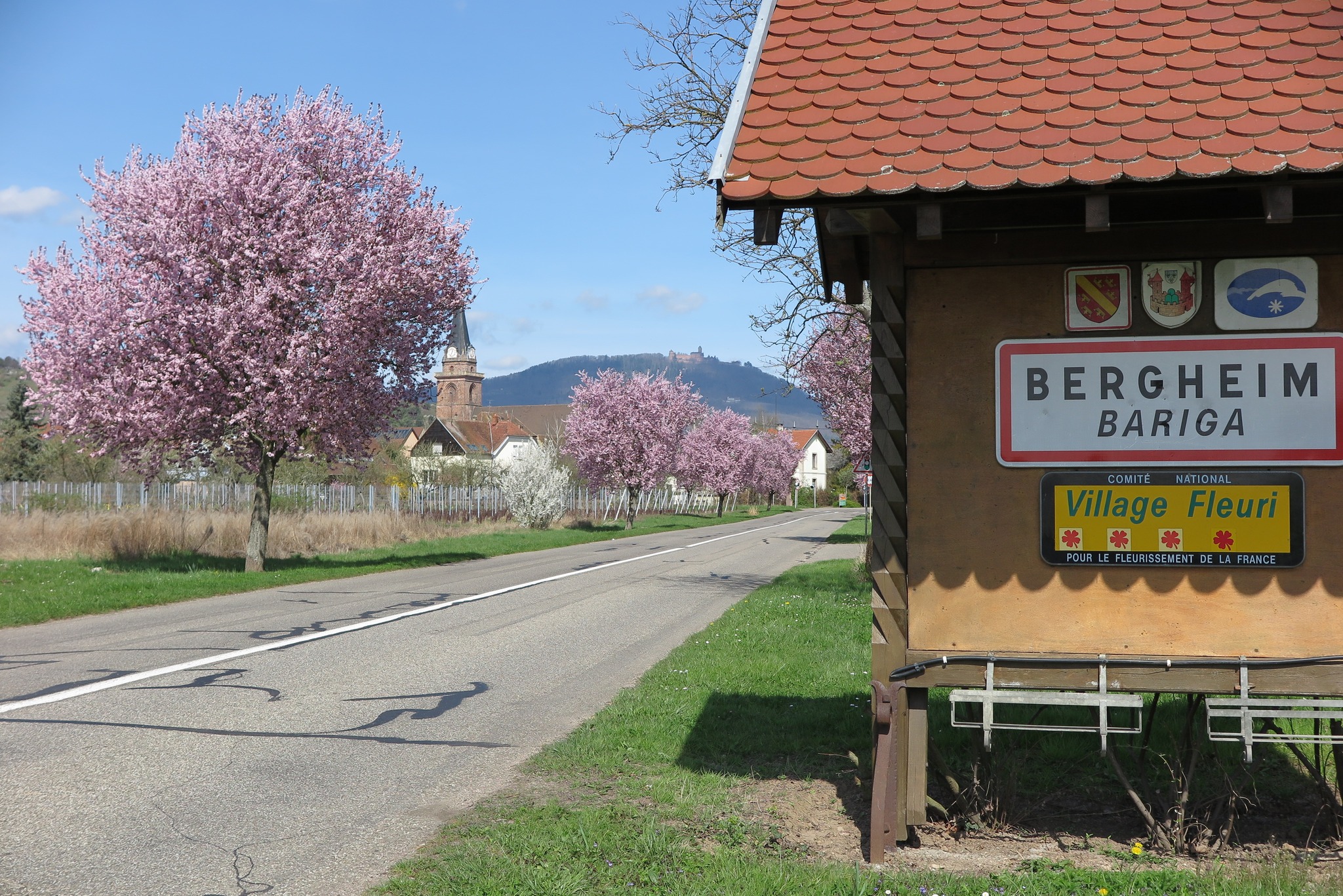 ギュスターヴ・ロレンツの写真1