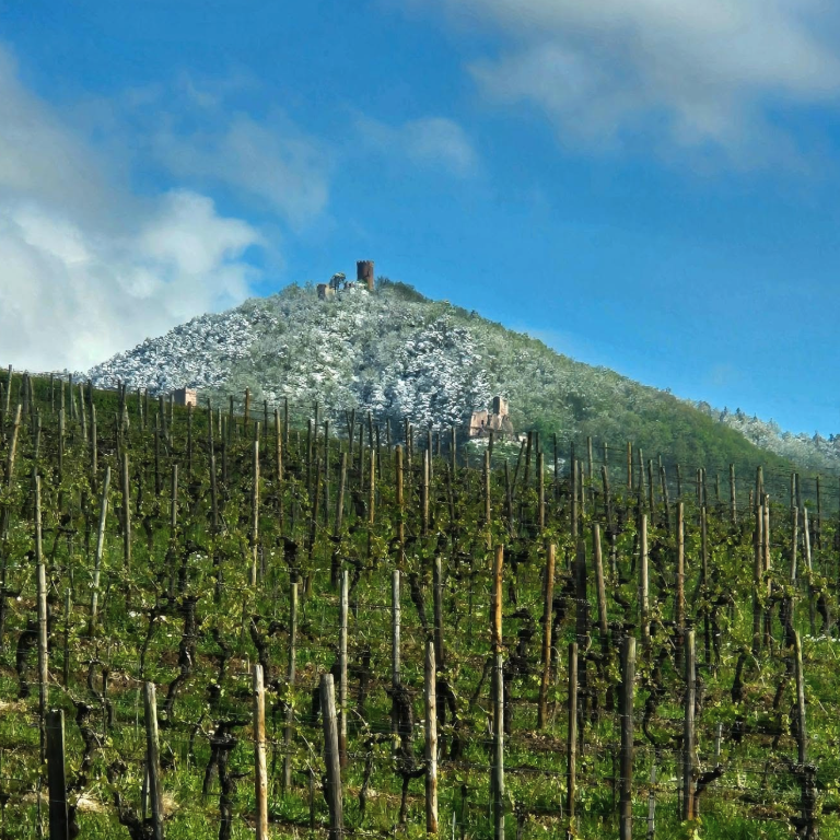 ジュリアン・シャールの写真1