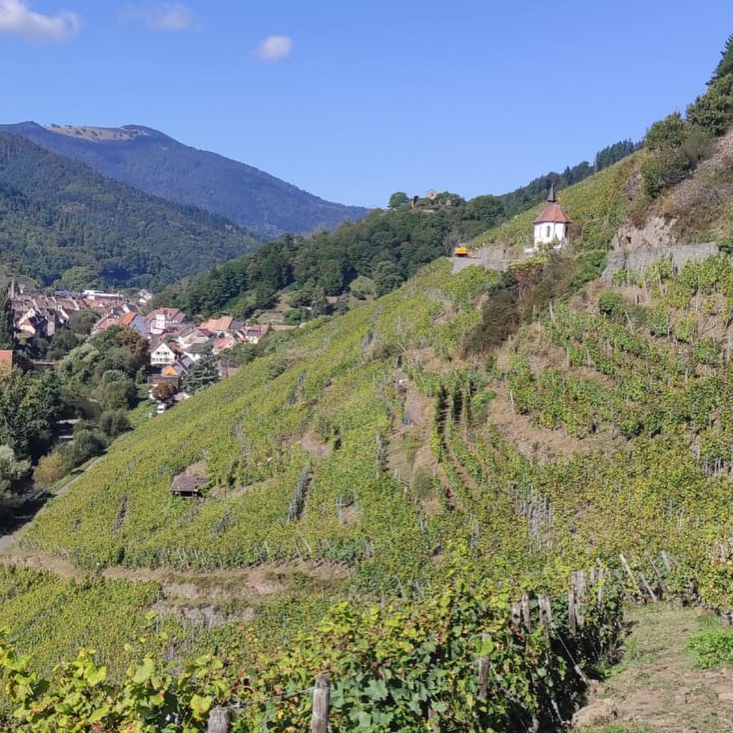  ドメーヌ・ツィント・ウンブレヒトの写真1