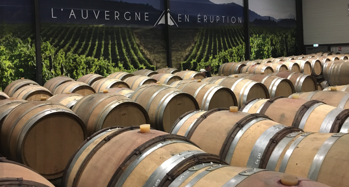 カーヴ・サン・ヴェルニの写真3