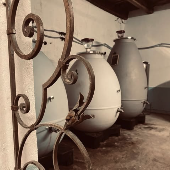 シャトー・プドリスの写真3