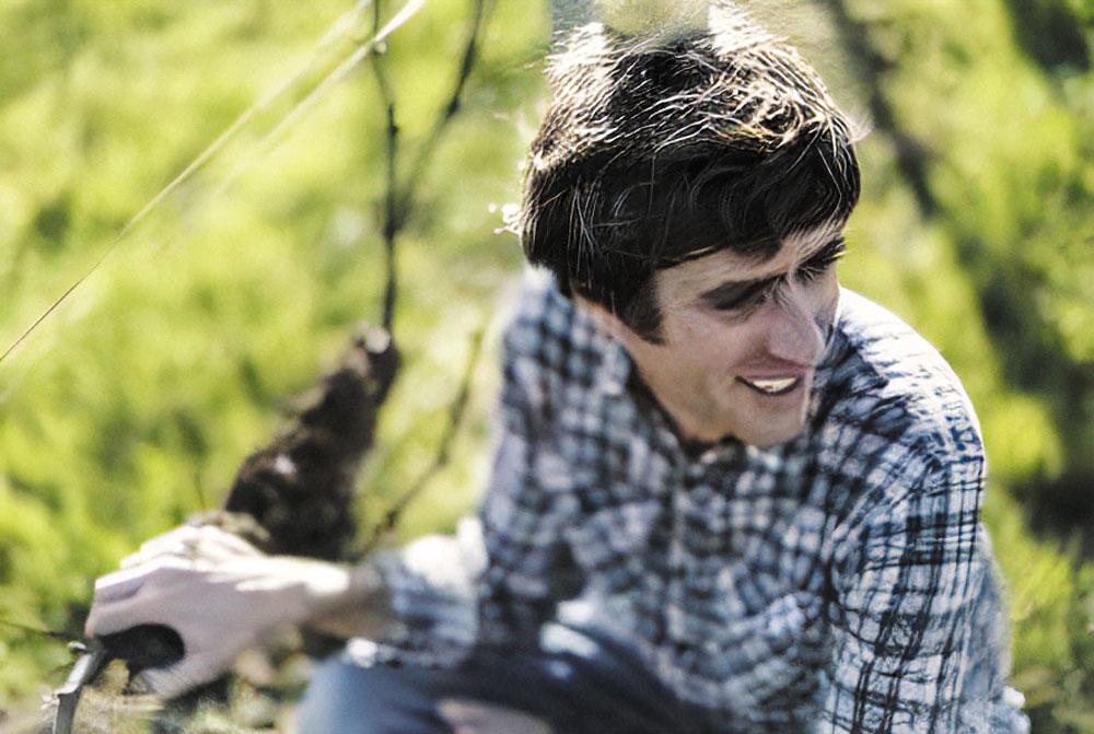 ヴィニョーブル・マンゴーの写真3