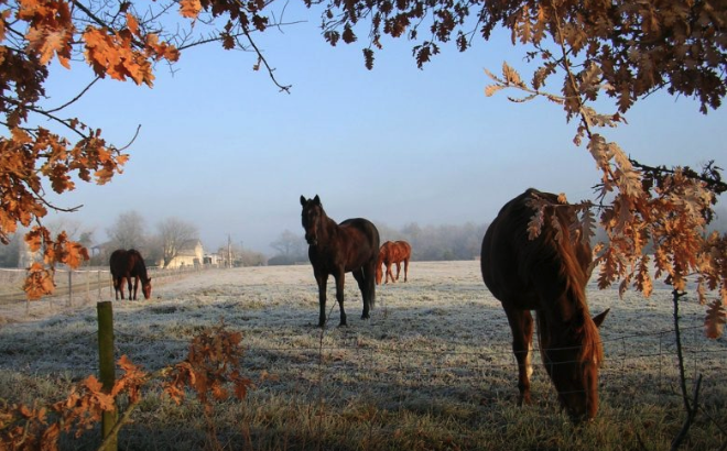 シャトー・ド・キャッシュの写真1
