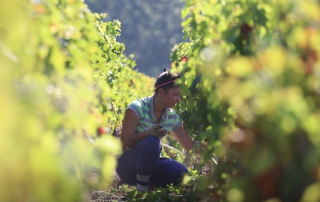 シャトー・ド・キャッシュの写真3