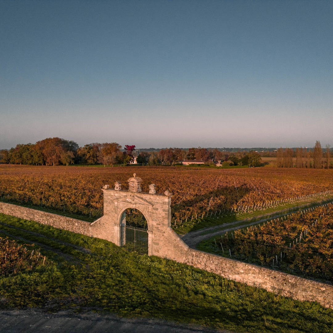 シャトー・ディッサンの写真3