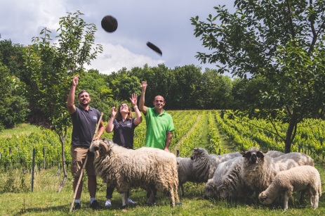 シャトー・フラン・ボードロンの写真3