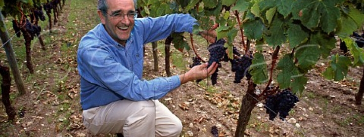 ヴュー・シャトー・サン・タンドレの写真3