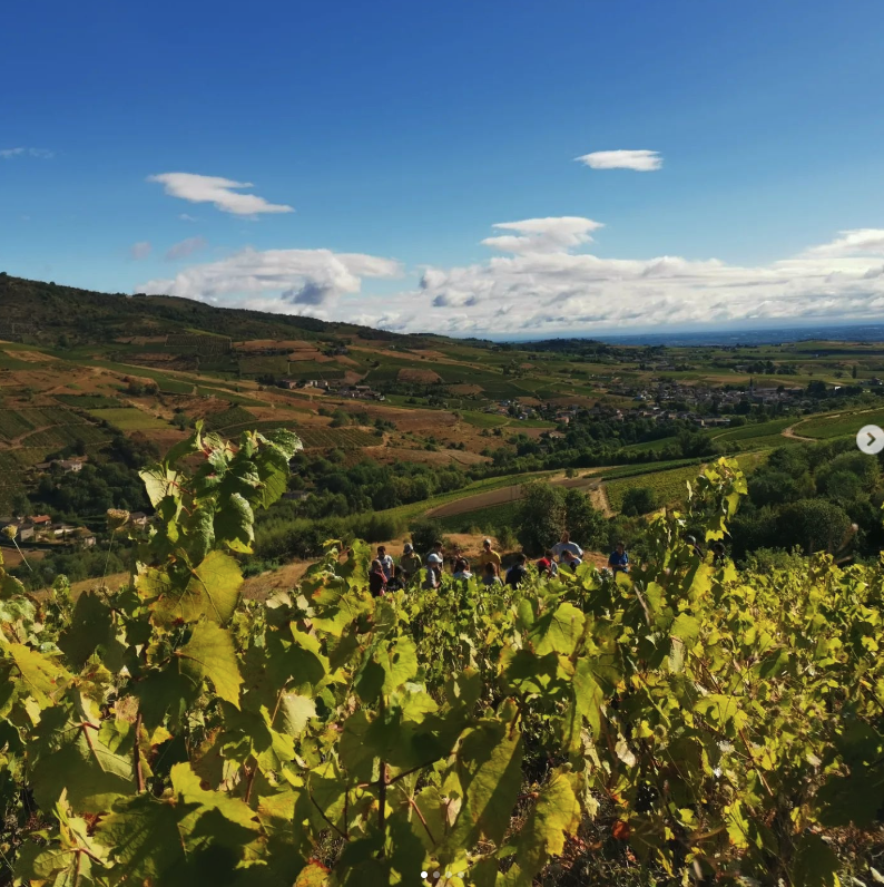 ドメーヌ・ド・ラ・ガペットの写真2