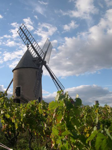 ドメーヌ・デュ・グラニの写真2