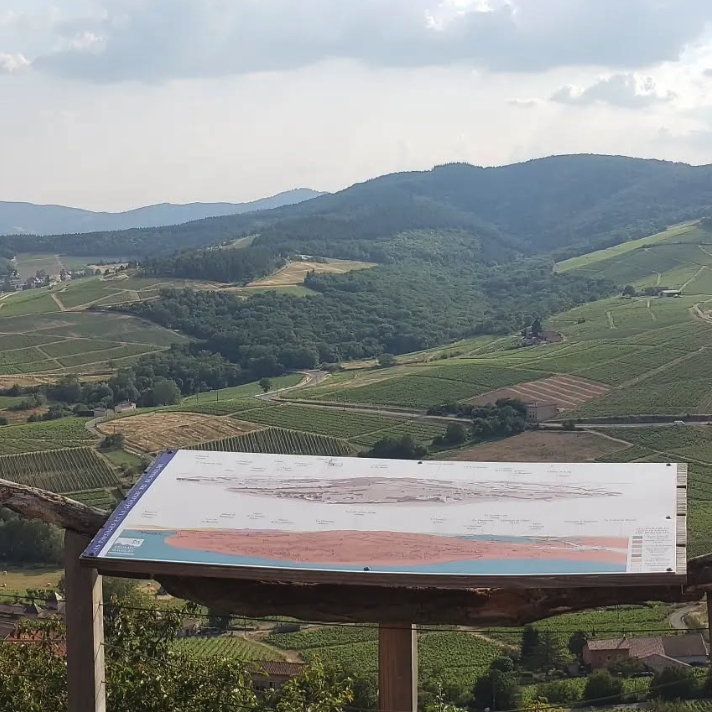 ラファルジュ・ヴィアルの写真2