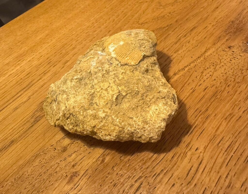 ドメーヌ・キャホンセット・エヌ・トワ・ウの写真3