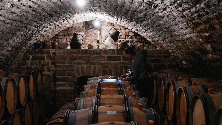 ドメーヌ・トリビュー・ドーヴィサの写真2