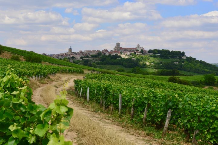 ラ・ミュティヌの写真1