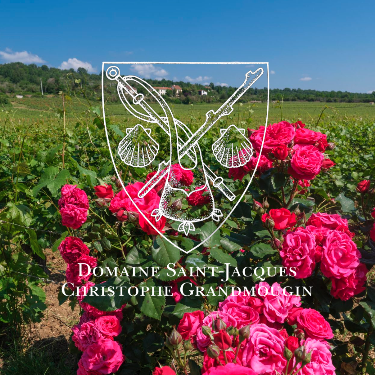 ドメーヌ・サン・ジャックの写真2