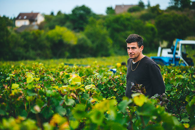 ドメーヌ・ヴァンサン ・デュルイユ・ジャンティアルの写真1