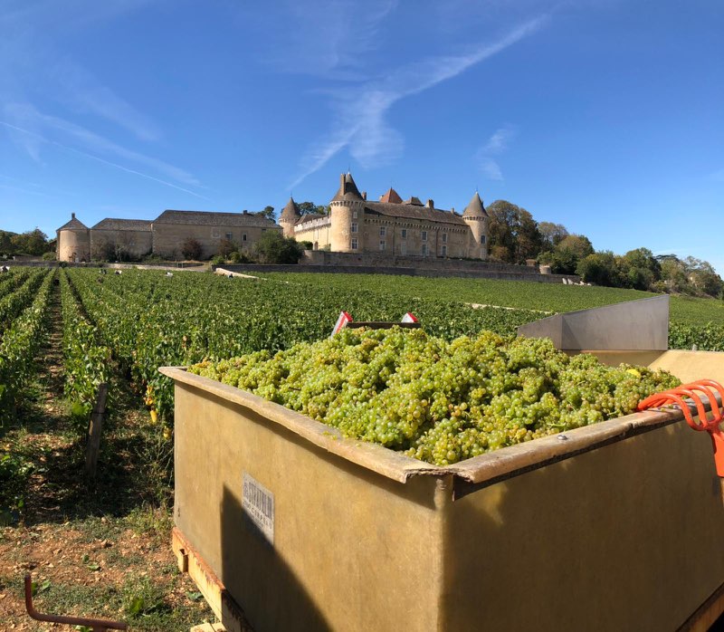 ドメーヌ・ヴァンサン ・デュルイユ・ジャンティアルの写真2