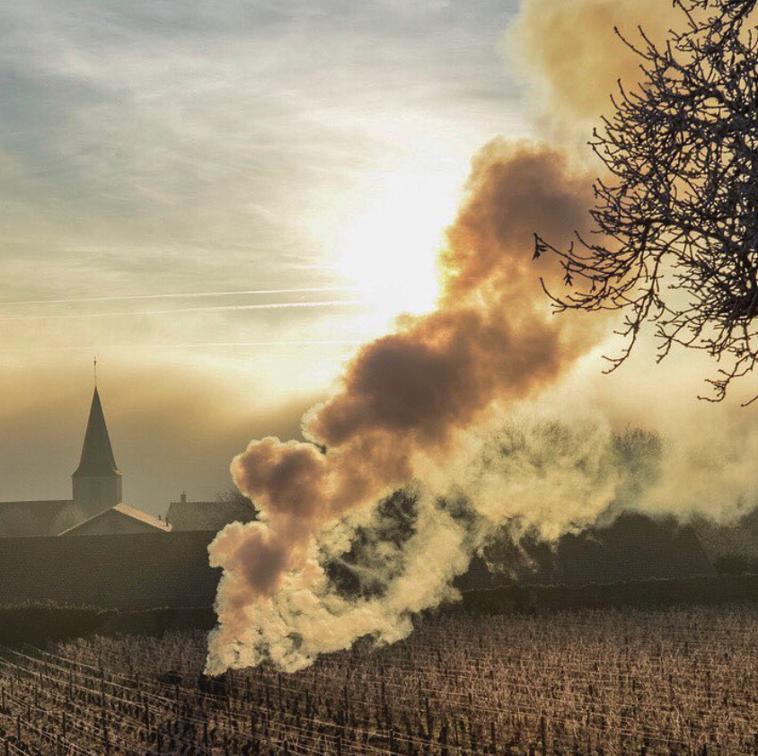 ドメーヌ・ヴァンサン・ダンセールの写真1