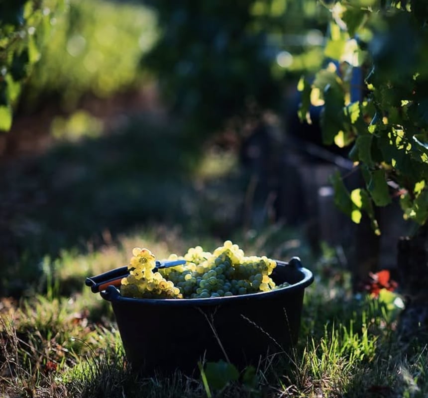 エクス・ニヒロの写真3