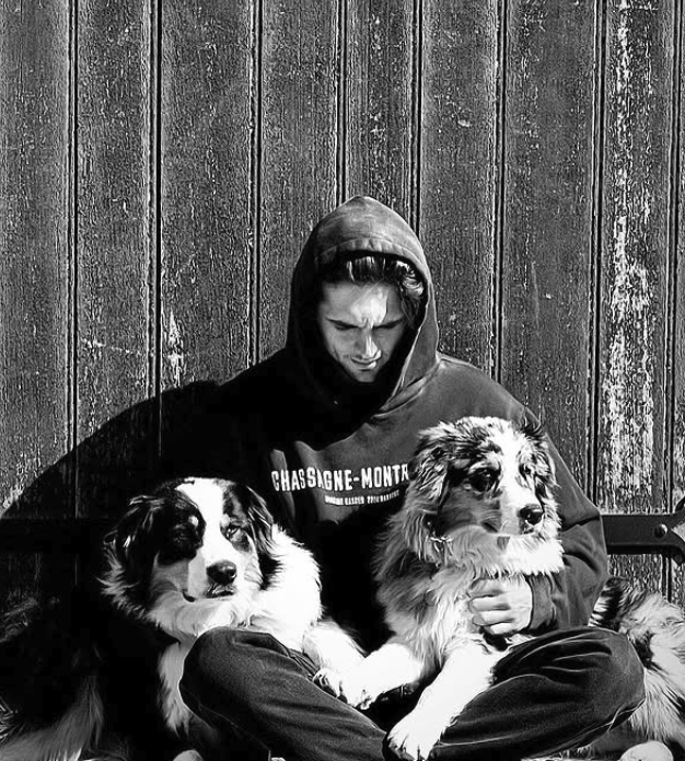 テオ・ダンセールの写真1