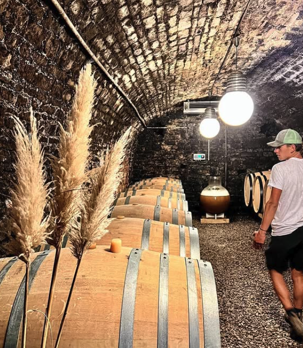 テオ・ダンセールの写真2