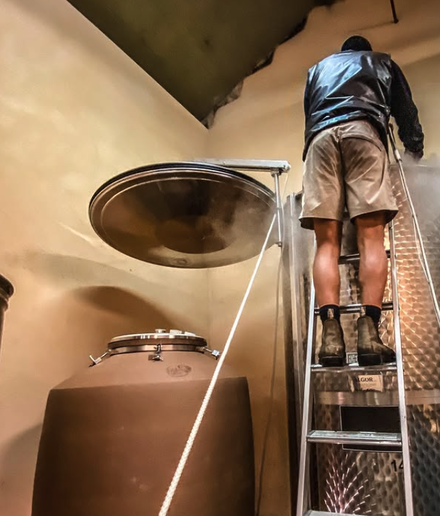 テオ・ダンセールの写真3