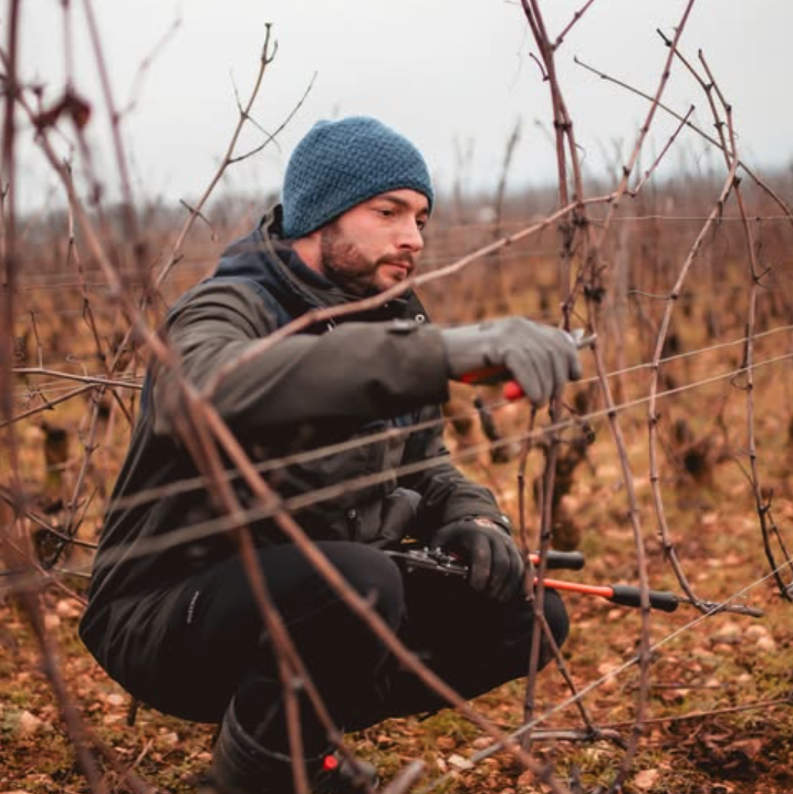 メゾン・ゴーテロン・ダノストの写真2
