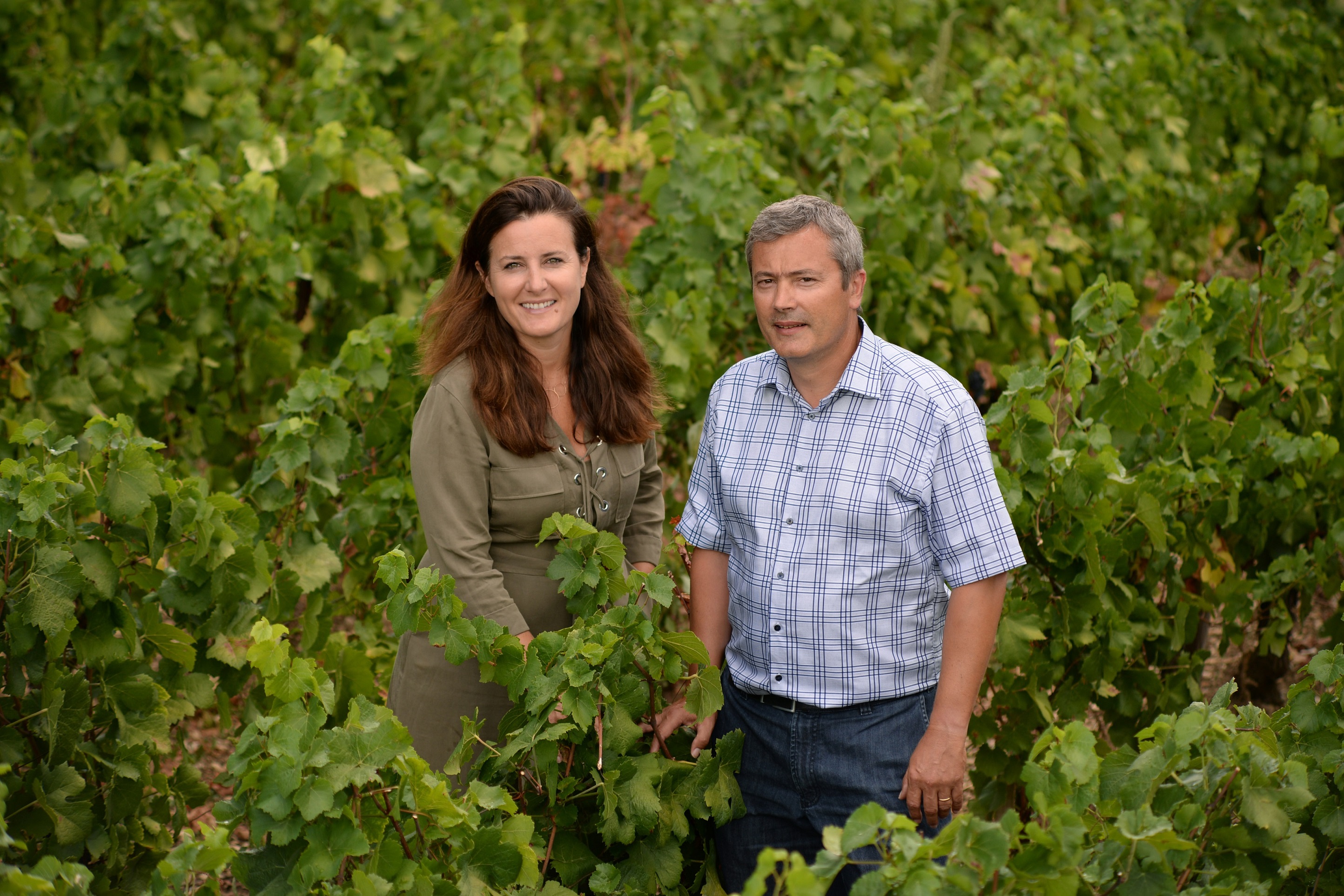 ドメーヌ・トプノ・メルムの写真2