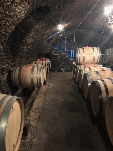 エイメ・ヴァディムの写真3