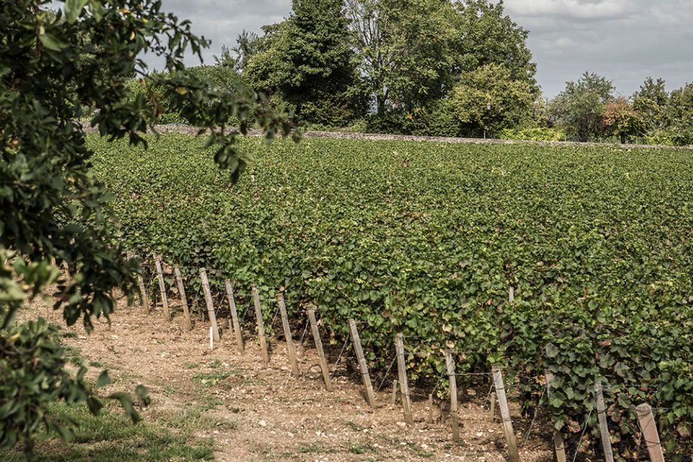 ドメーヌ・フィリップ・リベラ の写真1