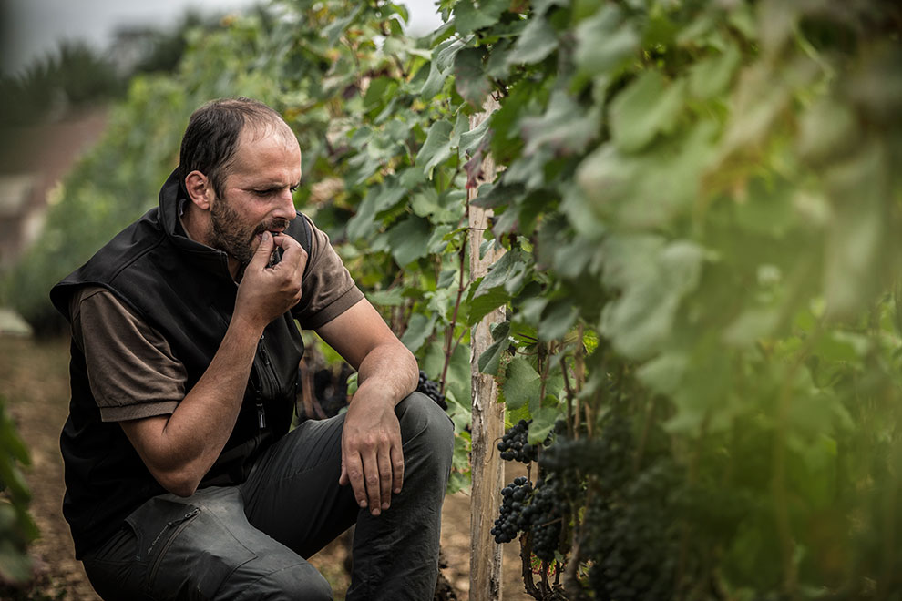 ドメーヌ・フィリップ・リベラ の写真2