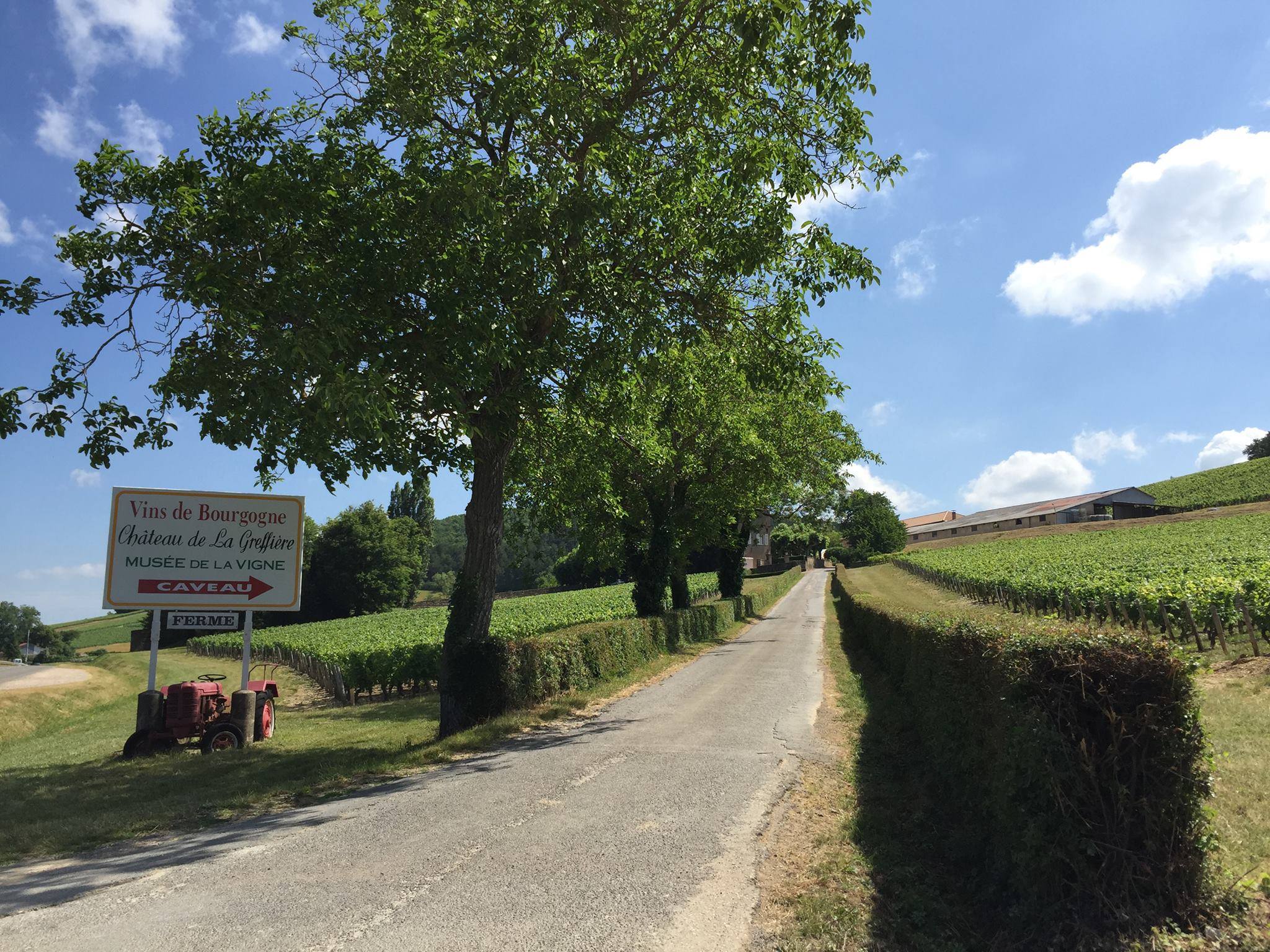 シャトー・ドゥ・ラ・グレフィエールの写真1