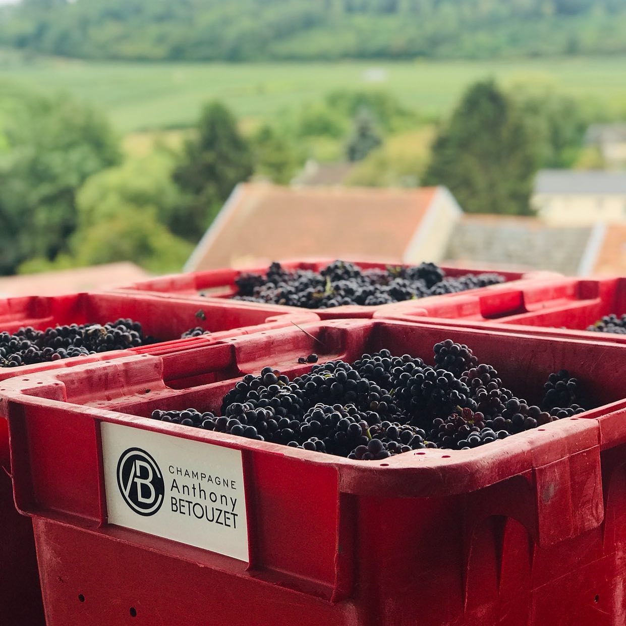 アントニー・ベトゥーゼの写真1